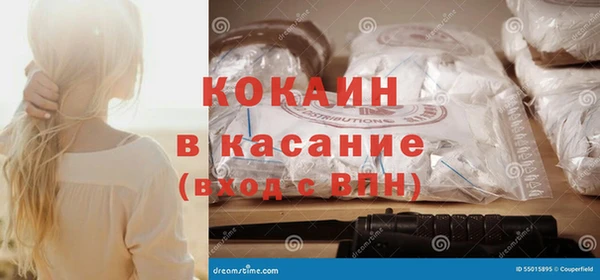 гашик Дмитриев