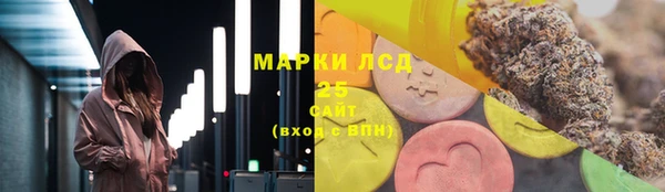 гашик Дмитриев
