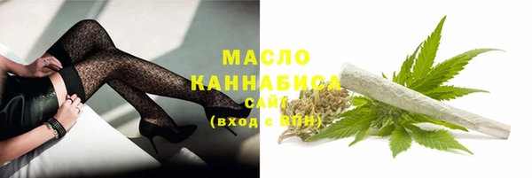 гашик Дмитриев
