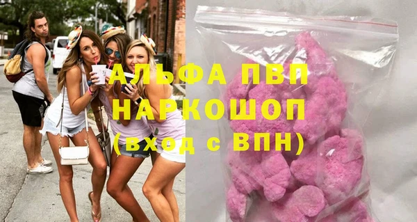 гашик Дмитриев
