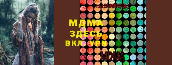 гашик Дмитриев