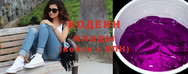 гашик Дмитриев