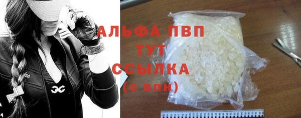 гашик Дмитриев