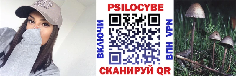 Купить где  Зарайск  Галлюциногенные грибы GOLDEN TEACHER 